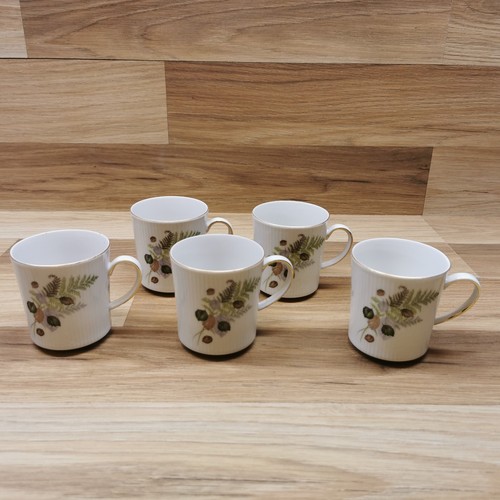 Set winterling - set, 5