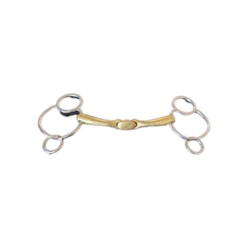 Neue schule turtle - turtle, top