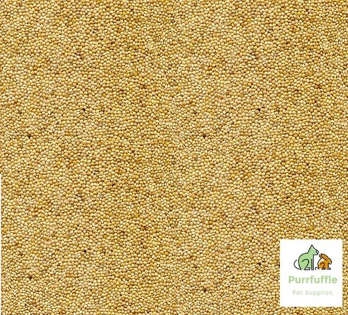20kg white millet bird - 20kg,