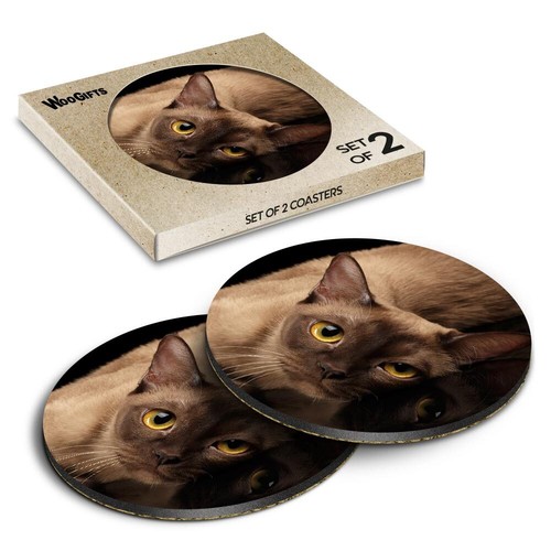 Round mdf coaster burmese cat - burmese,