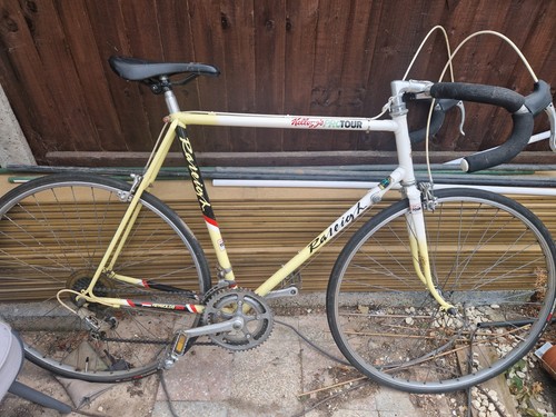 Raleigh kellogg pro - pro, tour