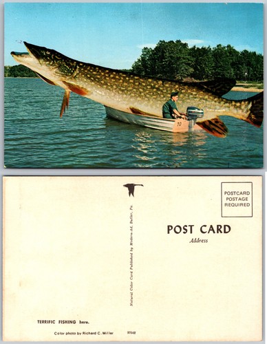 Terrific fishing giant pike - terrific,