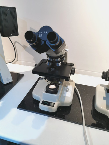 Prior lux - prior, binocular
