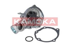 WATER PUMP KAMOKA T0209 FOR