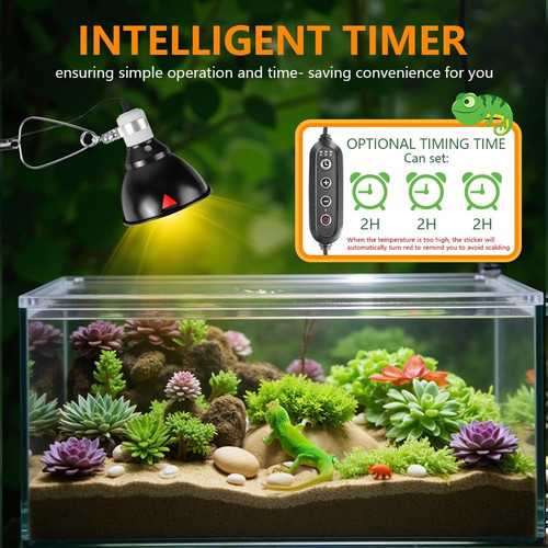 Hotut tortoise heat - hotut, with