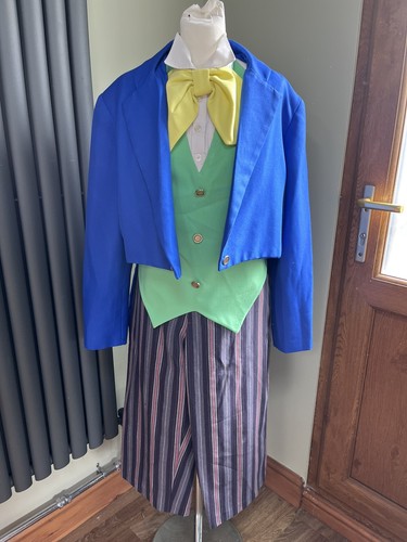 Mad hatter costume alice - alice, in