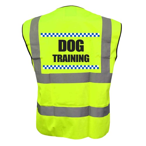 Sillitoe dog training yellow - sillitoe,