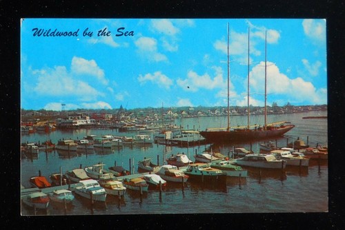 1950s the wildwood - yacht, basin