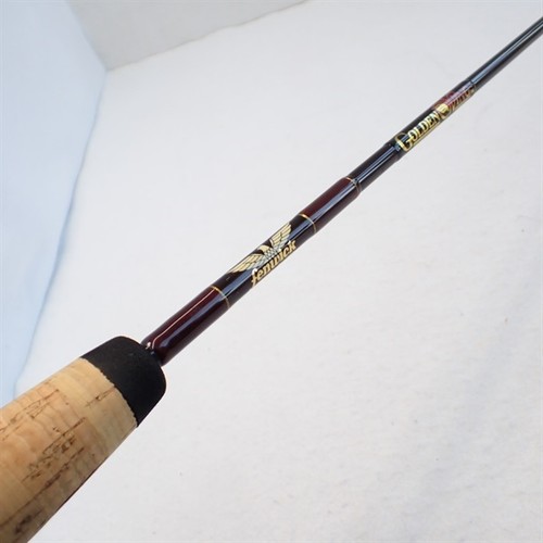 Fenwick golden wing gw62cmlj - fenwick.,