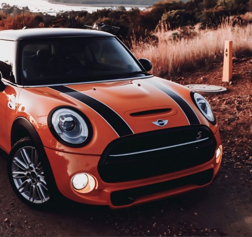 Mini cooper bonnet - cooper, stripes