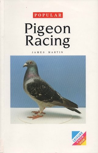 Popular pigeon racing - popular,