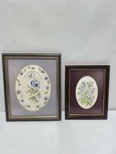 Pair of Framed Botanical