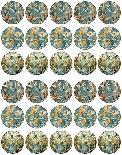 Dragonfly group cupcake - group,