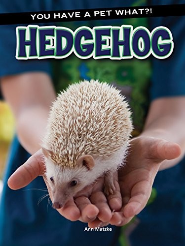 Hedgehog you have pet - (you, a