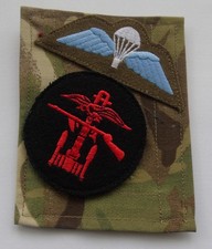 British Army 148 Meiktila Commando Battery MTP Blanking Panel & Parachute Wings