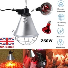 Infra Red Heat Lamp 500W Bulb