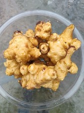Jerusalem Artichokes