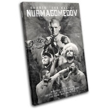Khabib Nurmagomedov UFC MMA