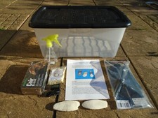 GIANT AFRICAN LAND SNAIL ADULT KIT (WITH HEAT MAT).