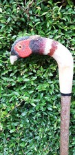 rams horn shepherds crook/walking stick