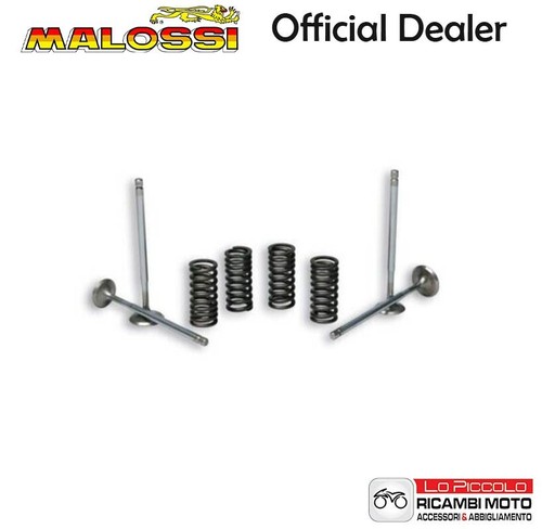 2714047 valve kit malossi - valve,