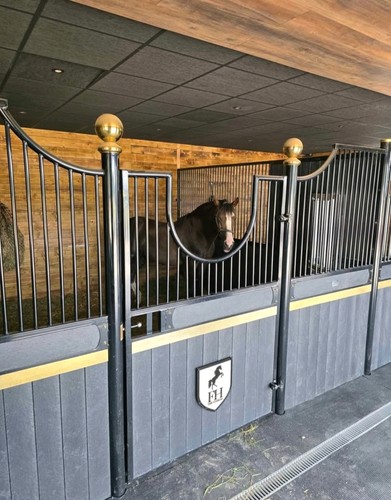 Internal horse stables - horse,