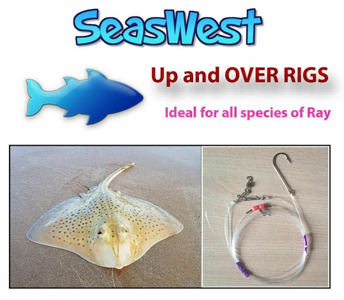 Seaswest and over rig - up,