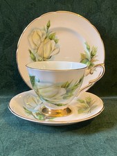 PARAGON HARRY WHEATCROFT WORLD  FAMOUS ROSES TEA TRIO  VIRGO