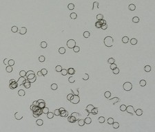 Watch click springs - watch, circular