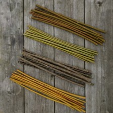 Beginners Basket Willow Collection, 40x Cuttings. 4 Useful Varieties.