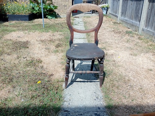 Antique dining chair - dining,