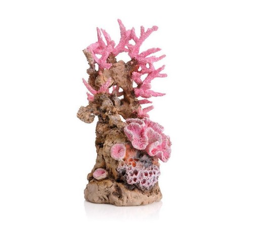 Biorb samuel baker pink purple - samuel,