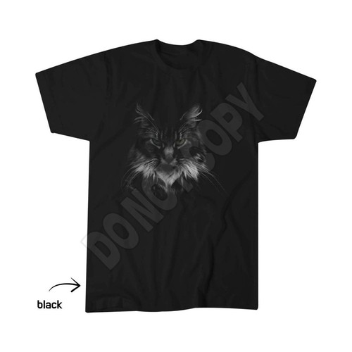 Angry maine coon cat - maine,