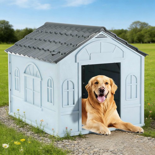 Outdoor large dog - large,
