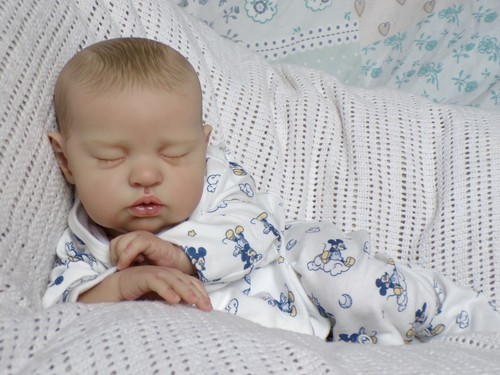 Reborn baby boy doll teddy - boy,