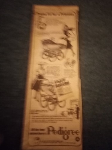 Xm34 ephemera 1953 advert - ,