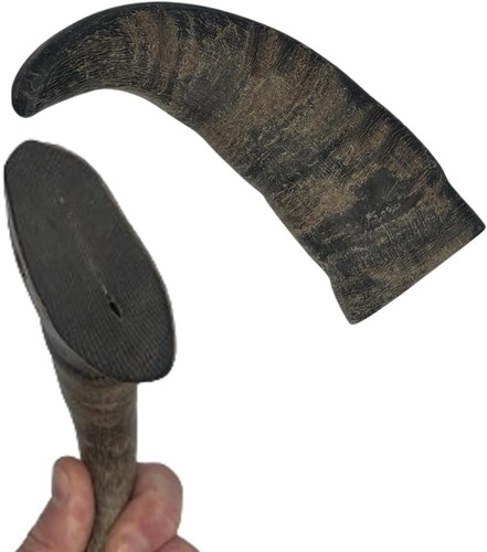 Ace antlers buffalo horn - ace, for