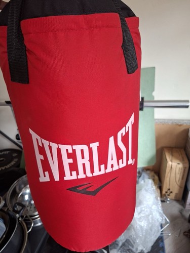 Everlast punch bag red - punch,