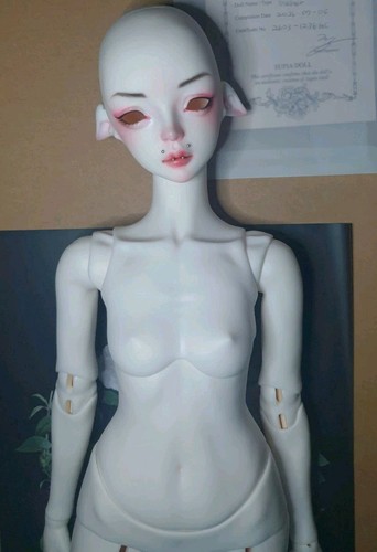 Legit bjd supiadoll - legit,