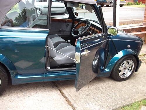 Classic mini door stays short - mini,
