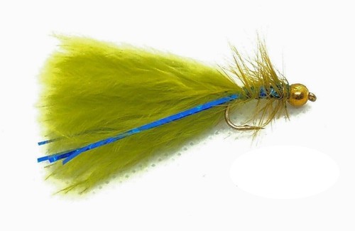 Olive blue flash damsel - blue,