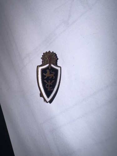 Vintage enamel lion - vintage, shield