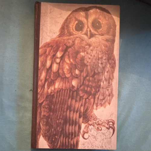 Book british birds 1974 - book,