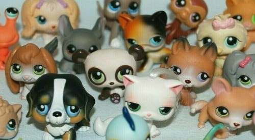 Littlest pet shop generation - shop, 1