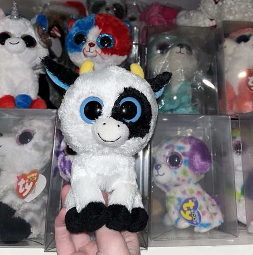 Beanie boo boos daisy - ty,