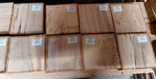 Spalted beech blank - beech, live