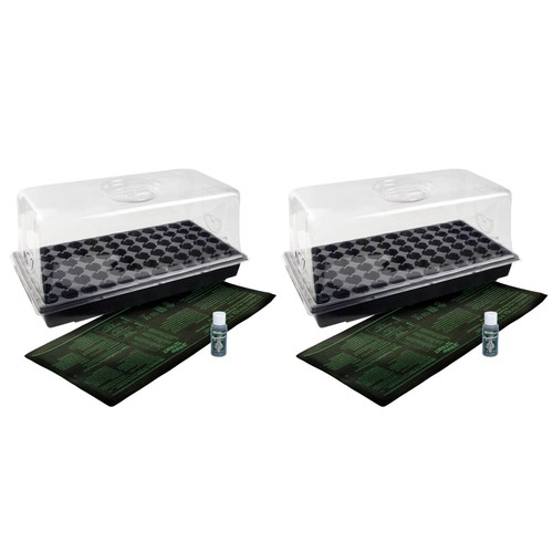 Jump start germination hot - germination,