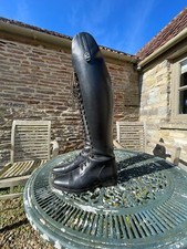 cavallo primus long dressage