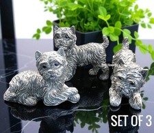 West Highland Terrier Dog