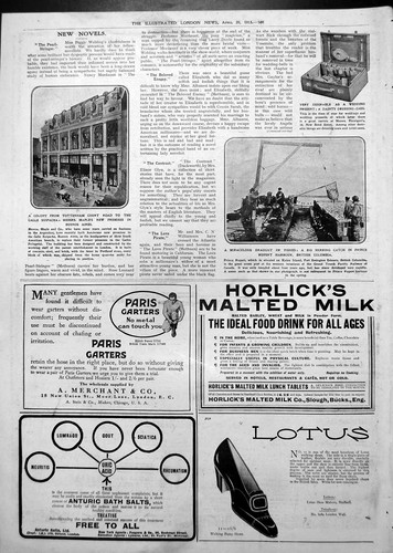 Antique old print herring - print,
